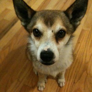 Meet your Posher, Brenda